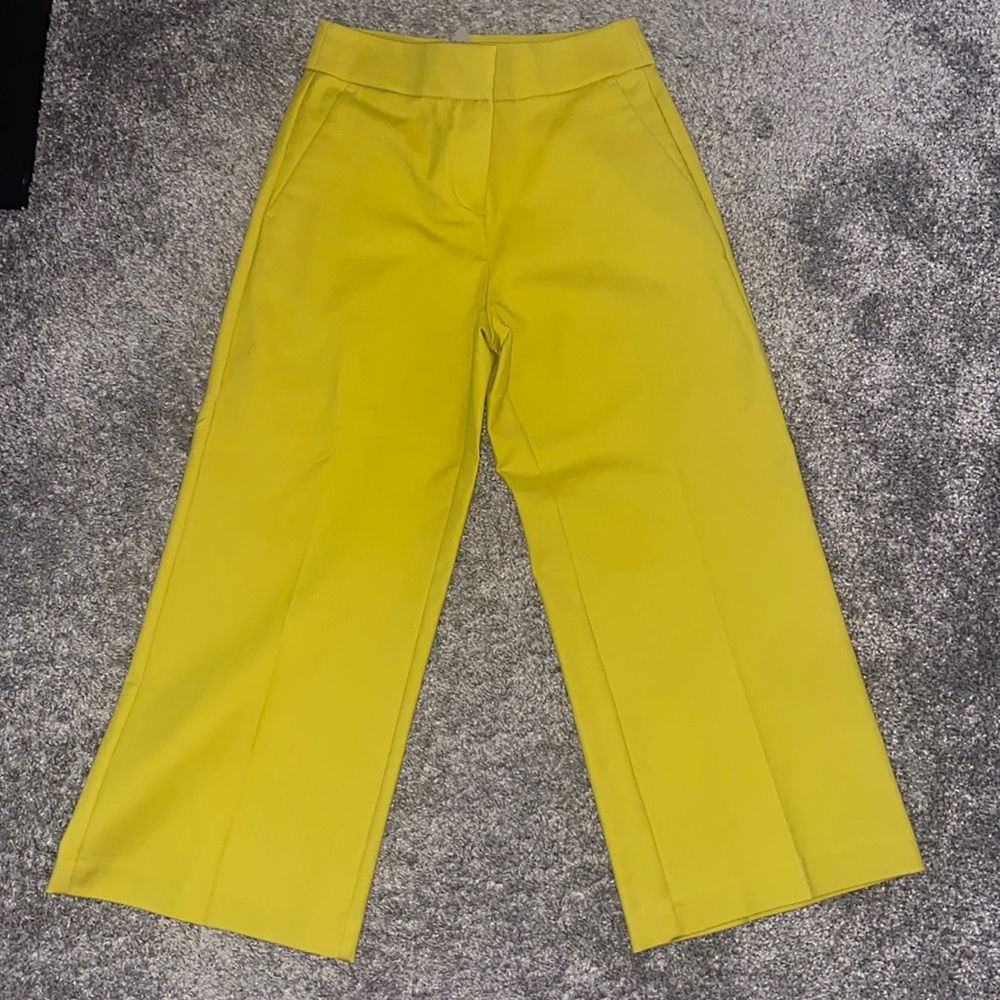 Ann Taylor Loft Green Wide Leg Cropped Pant Size 0P